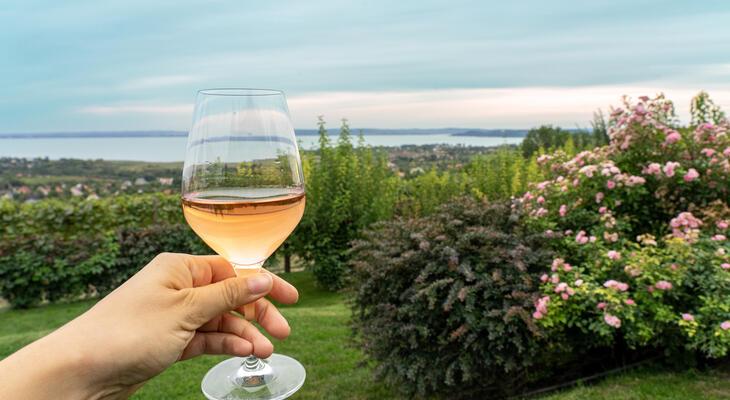 a legjobb csajos program a Balatonnál  